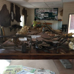 exhibition in the museum of the Mole National Park exhibition in the museum of the Mole National Park