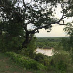 water hole at the Mole Motel water hole at the Mole Motel